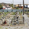 Beck's Kennels Panorama