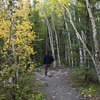 Cameron Falls Hiking