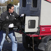 Dog Mushing on Wheels