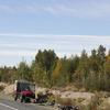 Dog Mushing on Wheels