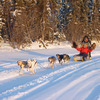 Dogsled