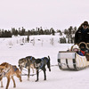 Dogsled