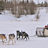 Dogsled