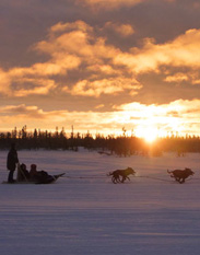 Dog sled expedition