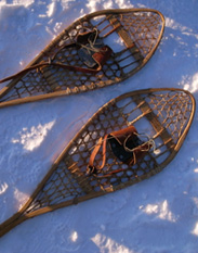 Nature viewing with shoes